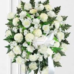 Seller Image